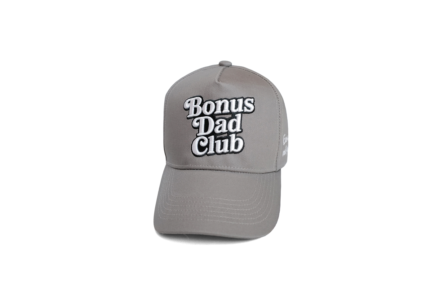 Bonus Dad Club cap, Grey